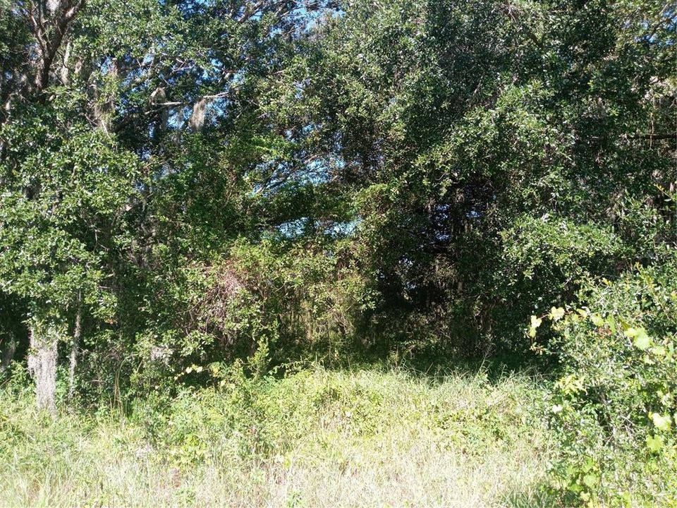 На продажу: $300,000 (5.00 acres)