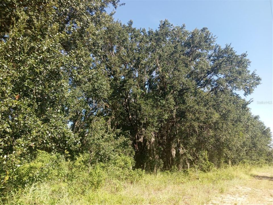 На продажу: $300,000 (5.00 acres)