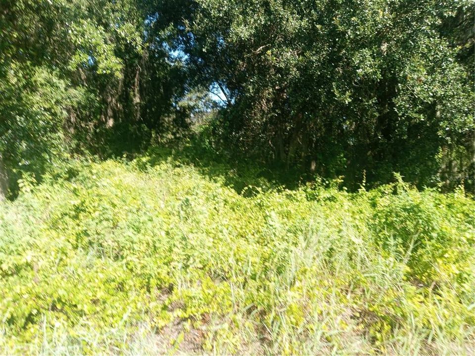 На продажу: $300,000 (5.00 acres)