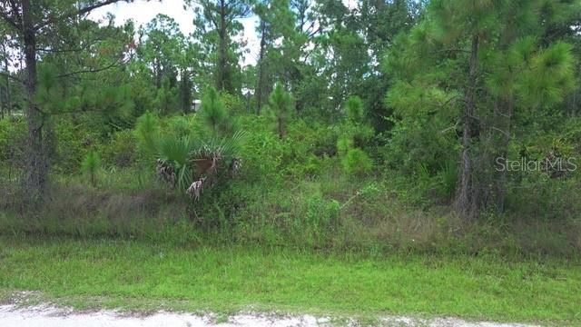 На продажу: $48,500 (0.49 acres)