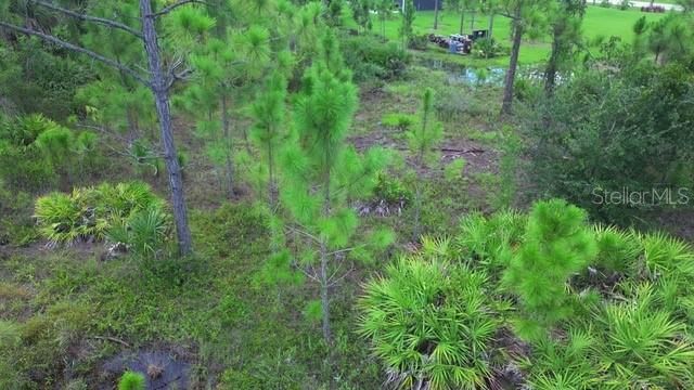 На продажу: $48,500 (0.49 acres)