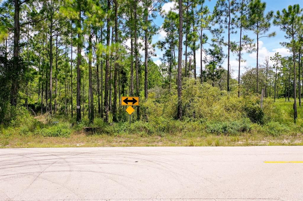 Active With Contract: $93,000 (1.02 acres)