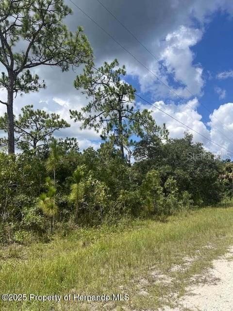 En Venta: $59,900 (1.20 acres)