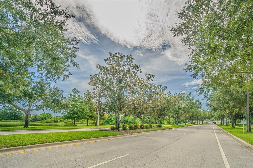 Под контрактом: $597,750 (4 спален, 3 ванн, 2725 Квадратных фут)