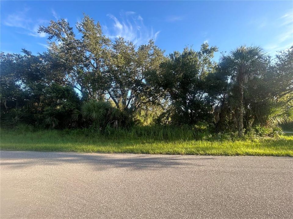 Active With Contract: $22,750 (0.29 acres)