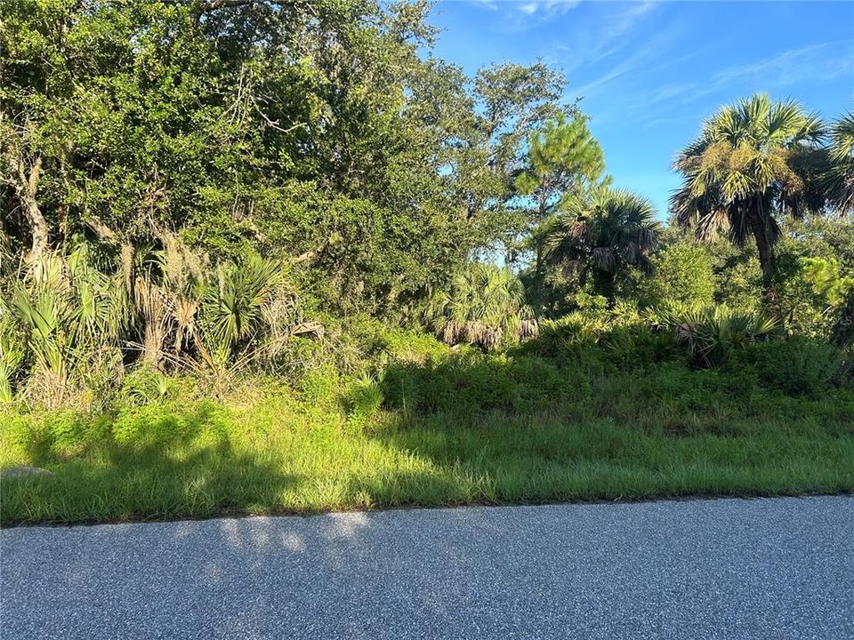 Active With Contract: $22,750 (0.29 acres)