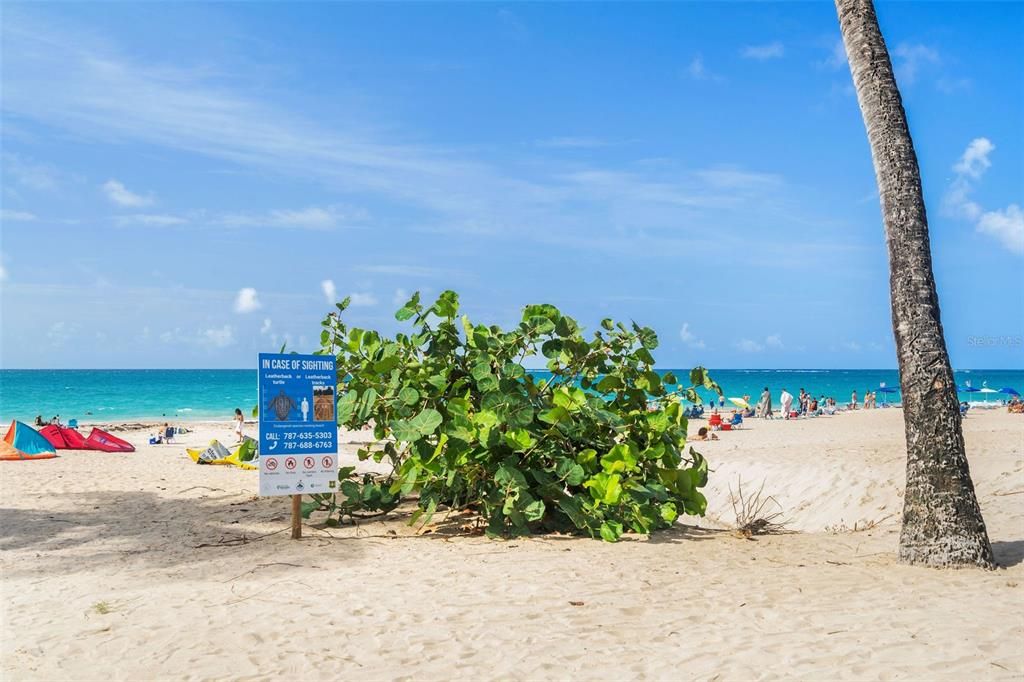 Под контрактом: $895,000 (4 спален, 2 ванн, 1700 Квадратных фут)