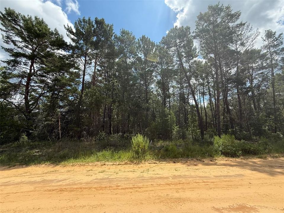 For Sale: $11,500 (0.22 acres)