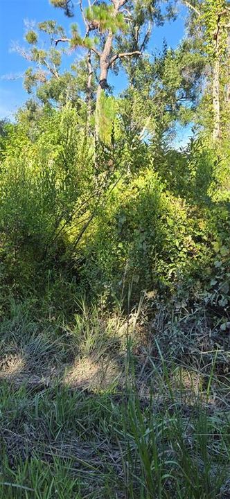 En Venta: $16,800 (0.18 acres)