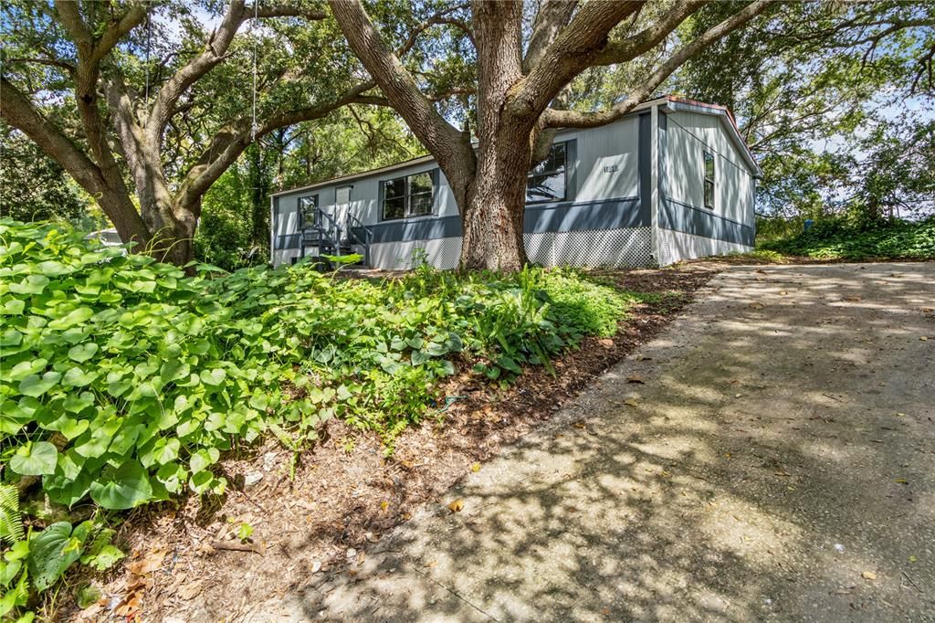 合同活跃: $138,000 (3 贝兹, 2 浴室, 1512 平方英尺)