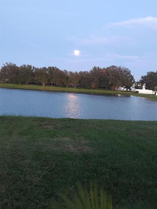 На продажу: $475,000 (3 спален, 2 ванн, 2017 Квадратных фут)