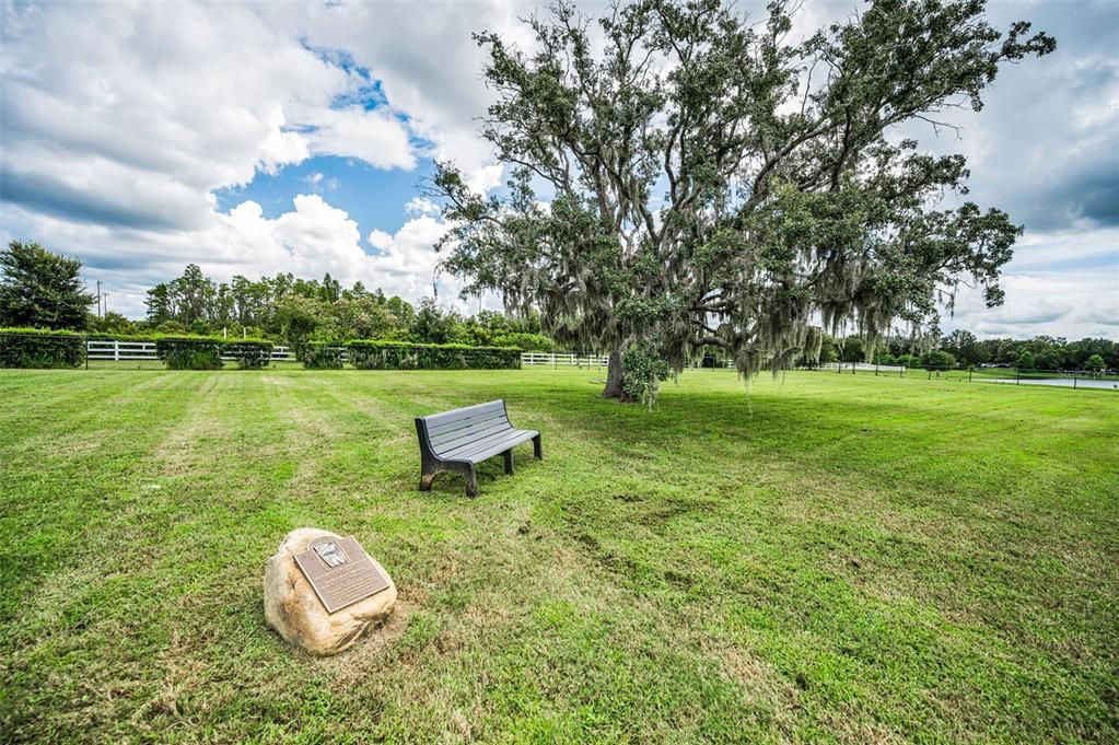 На продажу: $475,000 (3 спален, 2 ванн, 2017 Квадратных фут)