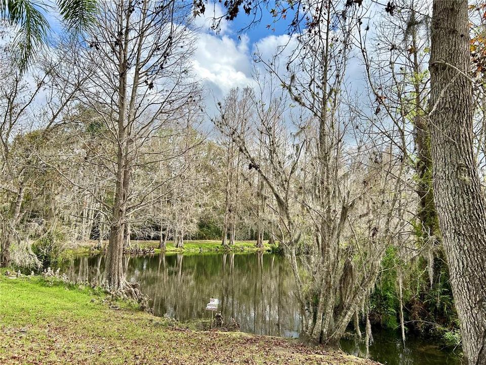 待售: $105,000 (1 贝兹, 1 浴室, 850 平方英尺)