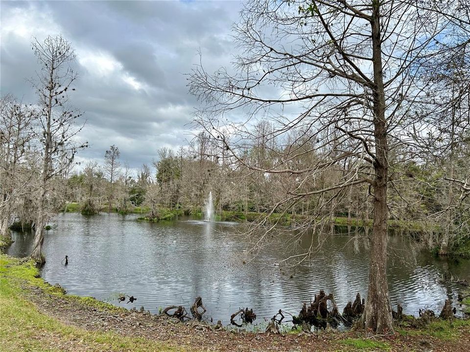 待售: $105,000 (1 贝兹, 1 浴室, 850 平方英尺)