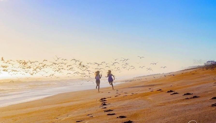 Под контрактом: $315,000 (2 спален, 2 ванн, 1649 Квадратных фут)