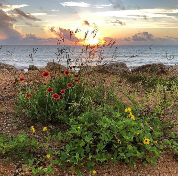 Под контрактом: $315,000 (2 спален, 2 ванн, 1649 Квадратных фут)