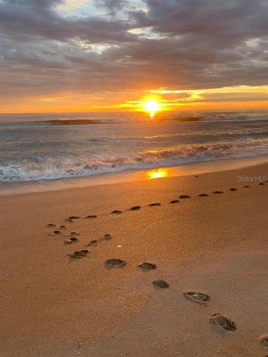 Под контрактом: $315,000 (2 спален, 2 ванн, 1649 Квадратных фут)