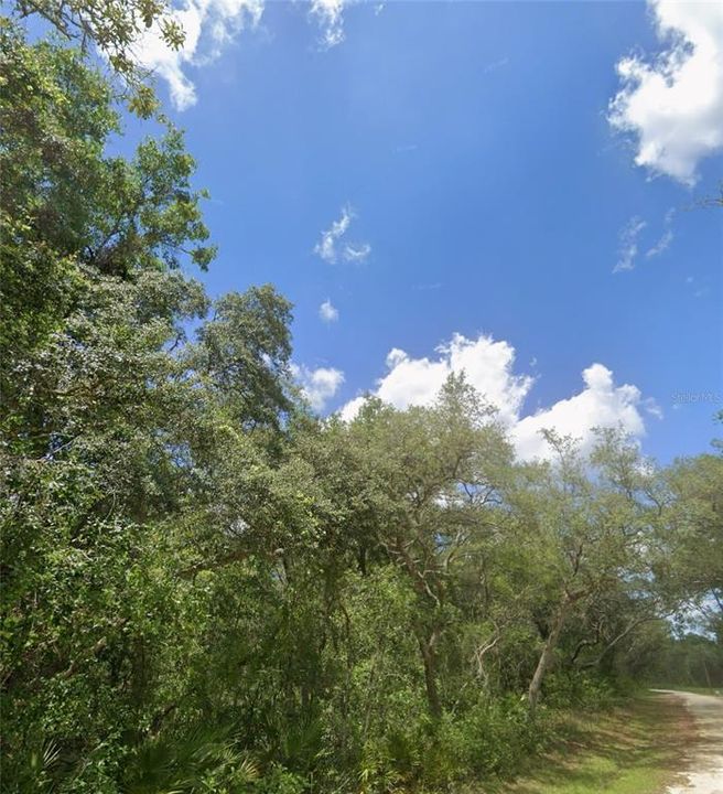 待售: $49,900 (1.05 acres)