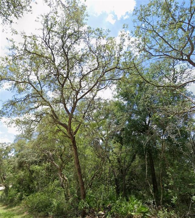 待售: $49,900 (1.05 acres)