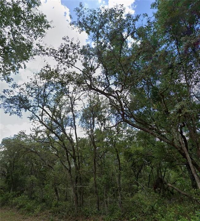 待售: $49,900 (1.05 acres)