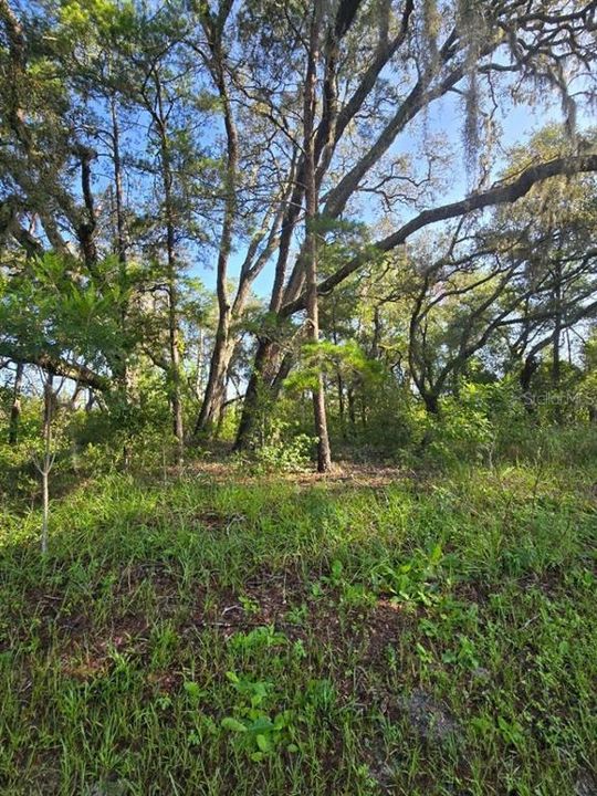 For Sale: $154,900 (2.00 acres)