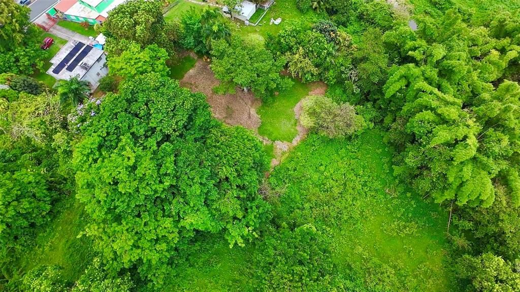 For Sale: $375,000 (4 beds, 3 baths, 0 Square Feet)