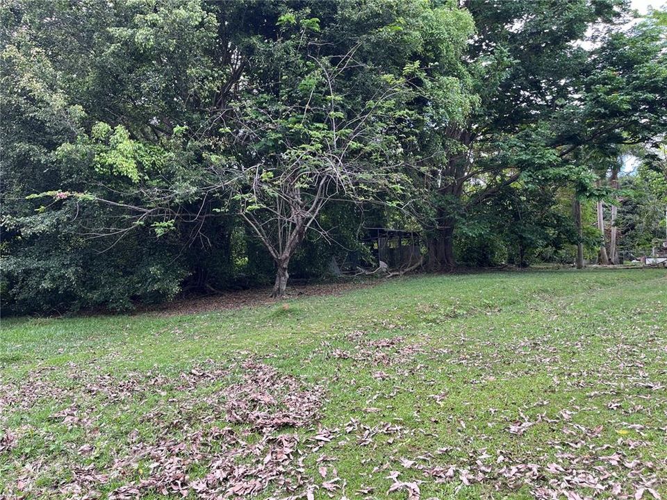 For Sale: $375,000 (4 beds, 3 baths, 0 Square Feet)