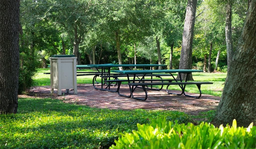 Activo con contrato: $719,000 (5 camas, 3 baños, 3378 Pies cuadrados)