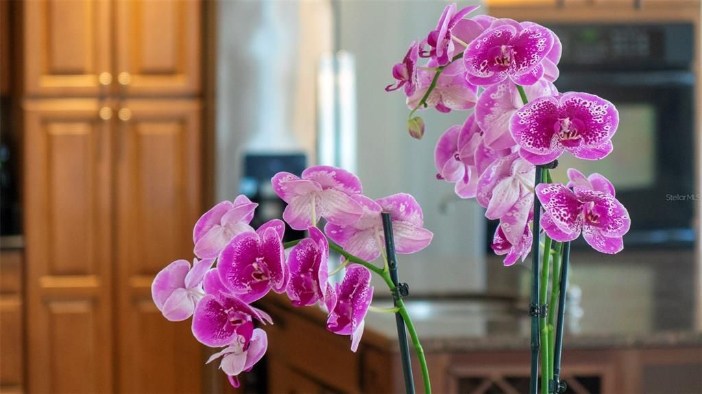 Activo con contrato: $719,000 (5 camas, 3 baños, 3378 Pies cuadrados)