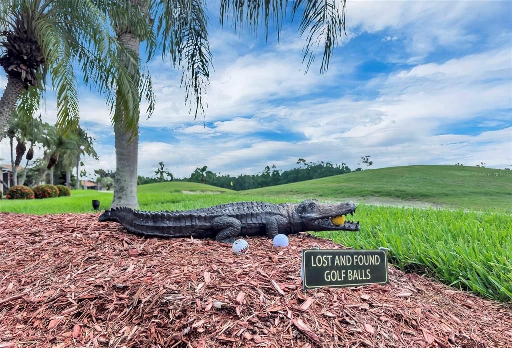 На продажу: $497,900 (3 спален, 2 ванн, 2652 Квадратных фут)