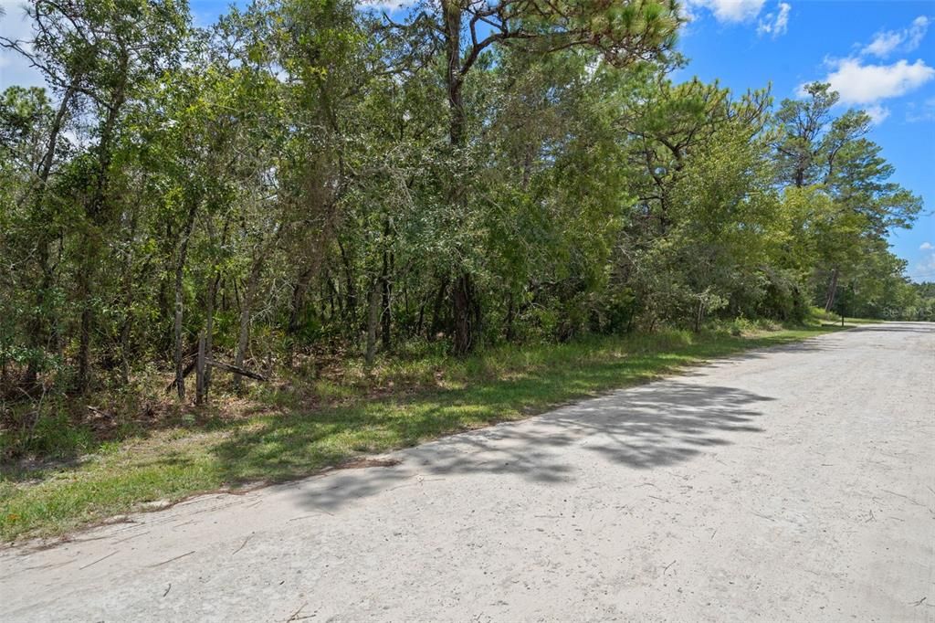 Vendido Recientemente: $35,000 (0.32 acres)