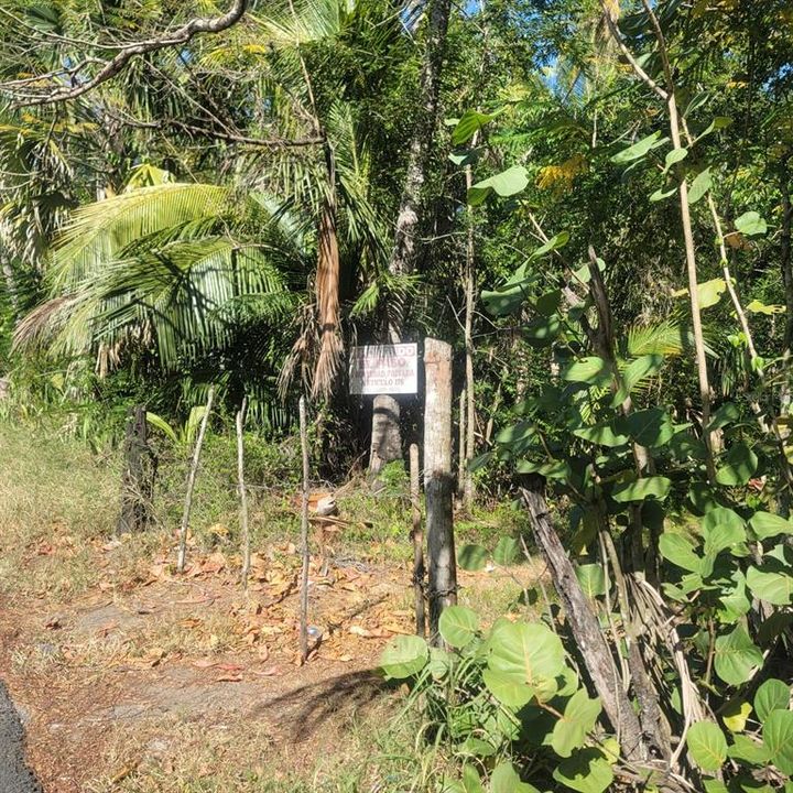 Recently Sold: $95,000 (0.22 acres)