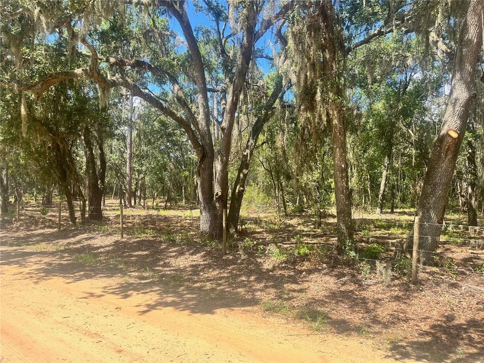 待售: $315,000 (12.55 acres)