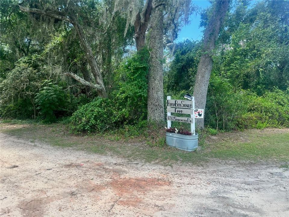 待售: $315,000 (12.55 acres)