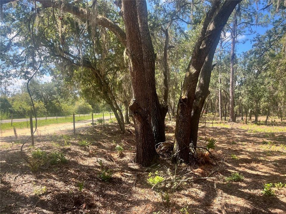 待售: $315,000 (12.55 acres)