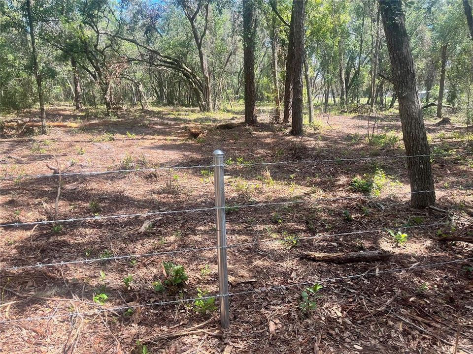 待售: $315,000 (12.55 acres)