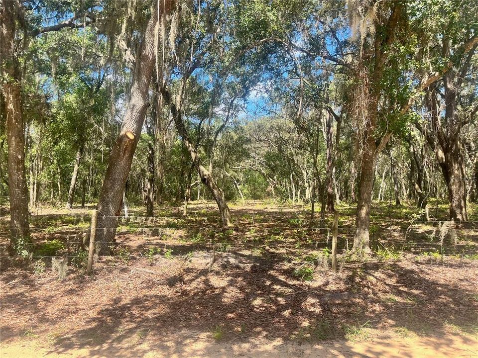待售: $315,000 (12.55 acres)