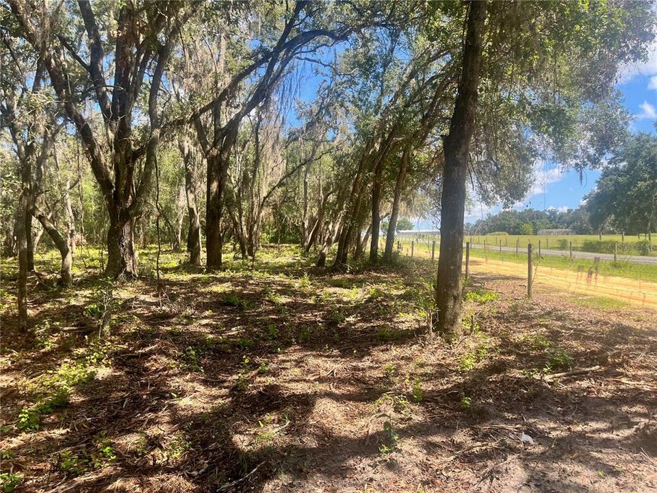 待售: $315,000 (12.55 acres)