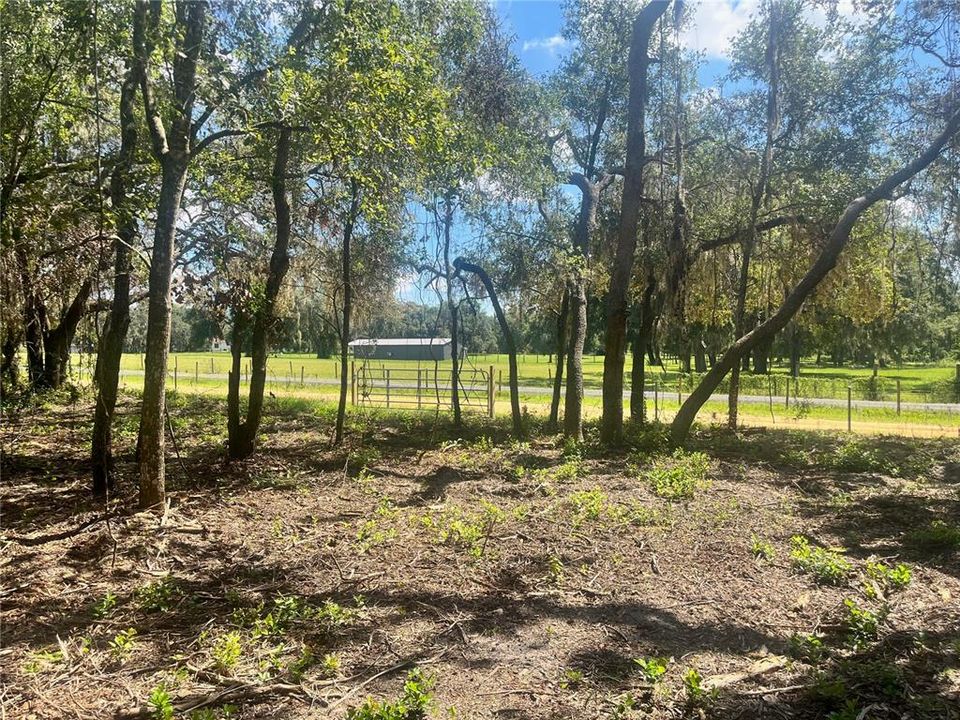 待售: $315,000 (12.55 acres)