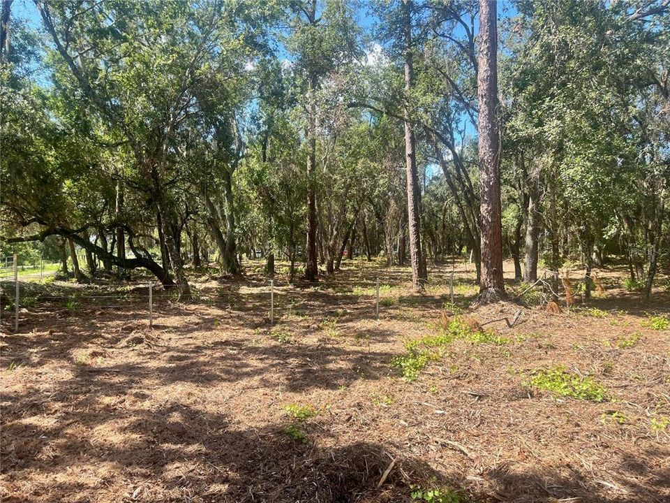 待售: $315,000 (12.55 acres)