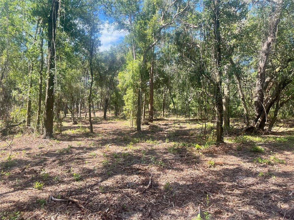 待售: $315,000 (12.55 acres)