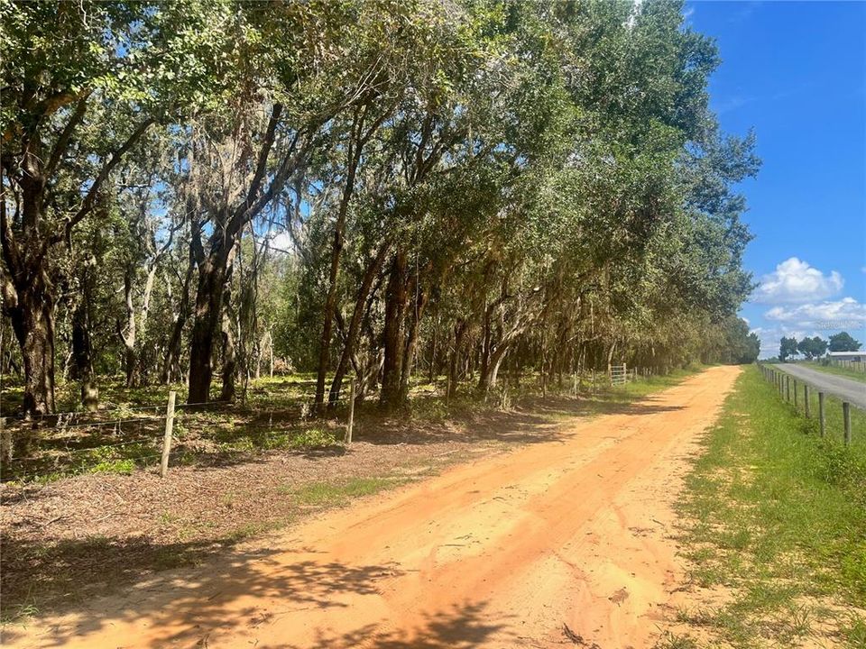 待售: $315,000 (12.55 acres)