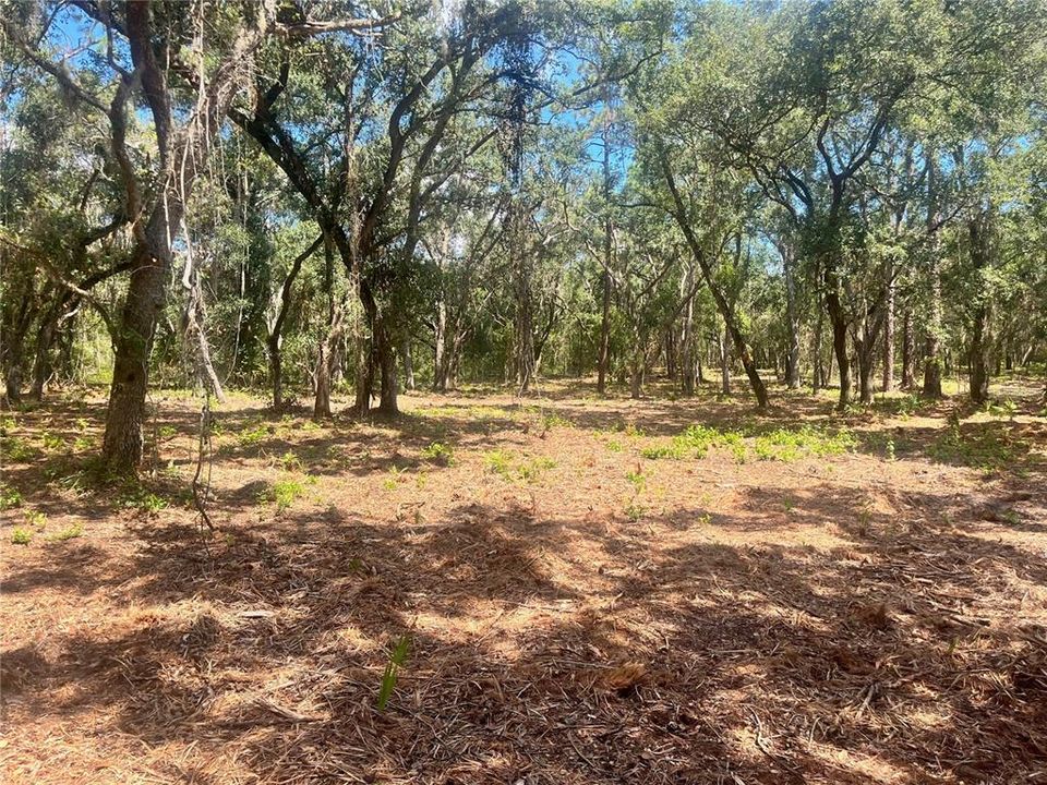 待售: $315,000 (12.55 acres)