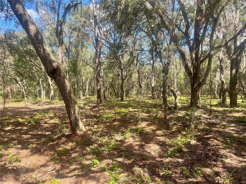 待售: $315,000 (12.55 acres)