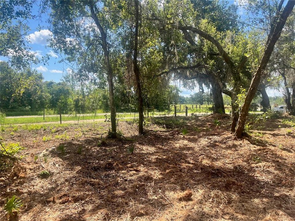 待售: $315,000 (12.55 acres)