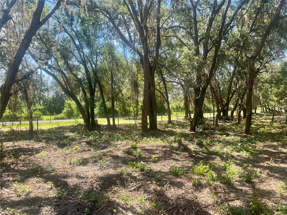 待售: $315,000 (12.55 acres)