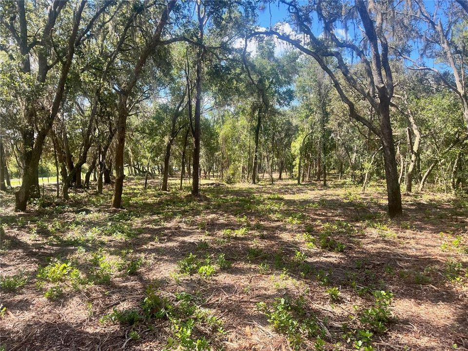 待售: $315,000 (12.55 acres)