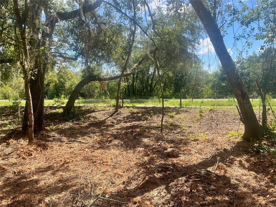 待售: $315,000 (12.55 acres)