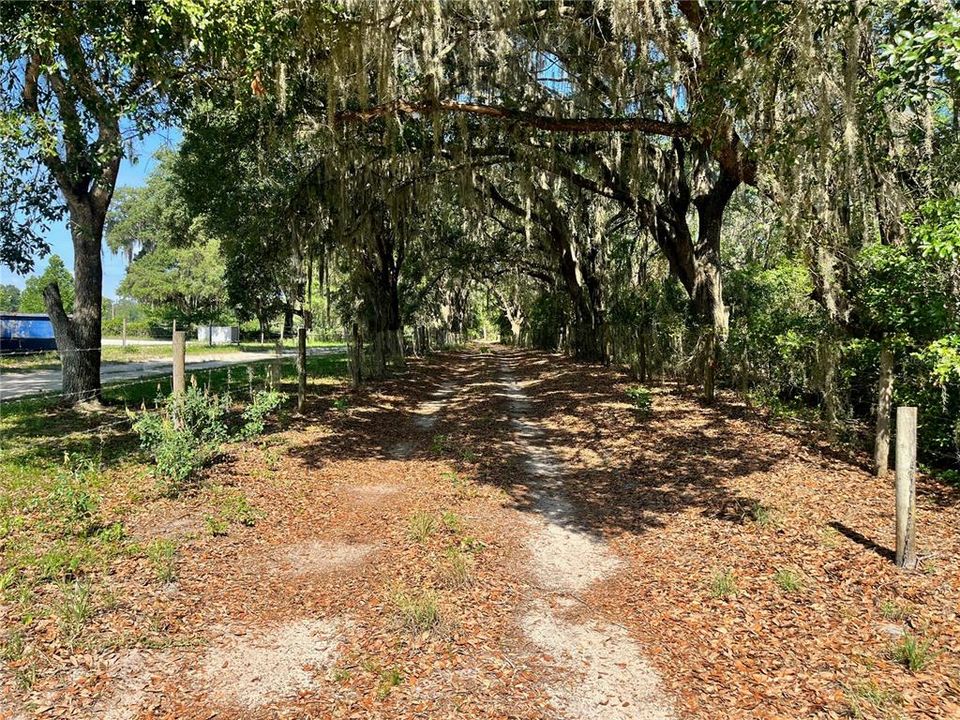 待售: $315,000 (12.55 acres)