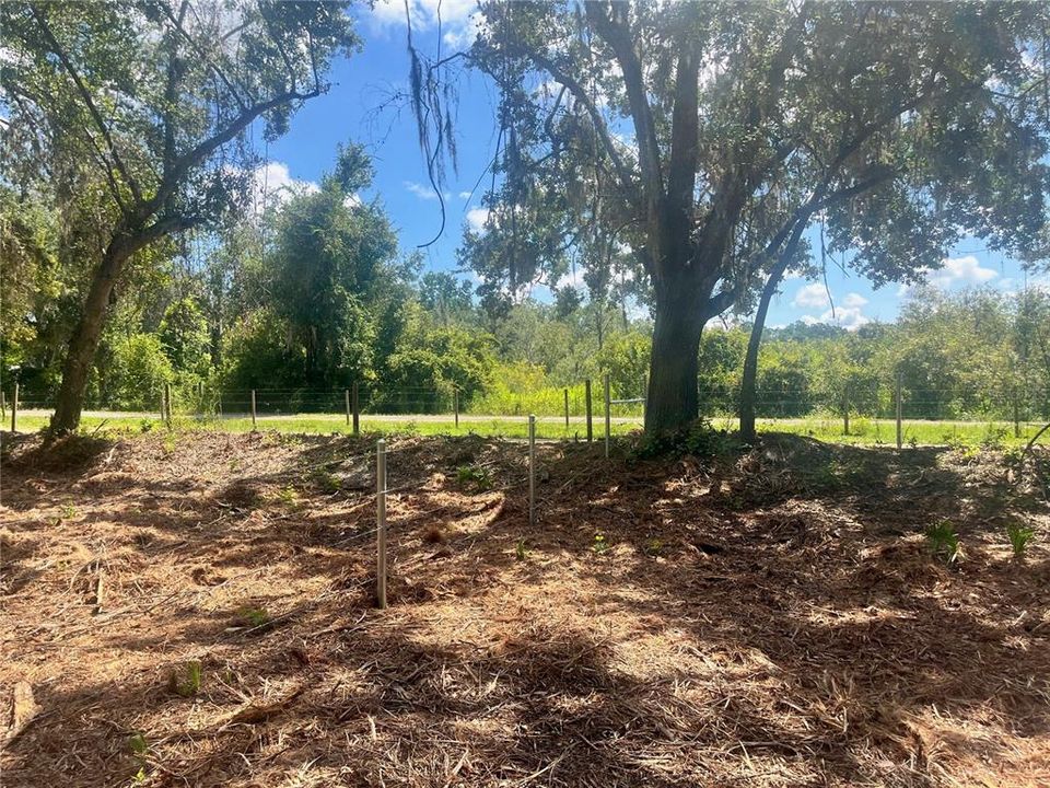 待售: $315,000 (12.55 acres)